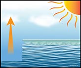 Eliminate Water Evaporation